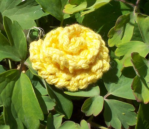 Knitted Roses photo 2