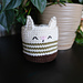 Cute Cat Planter pattern