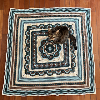 Part 5 - Kitty for scale