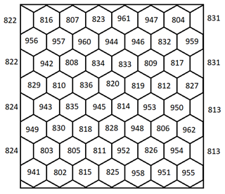 This is Rachele's picture