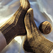 Amber Path Socks pattern