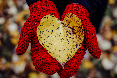 Laurel Mittens photo 1