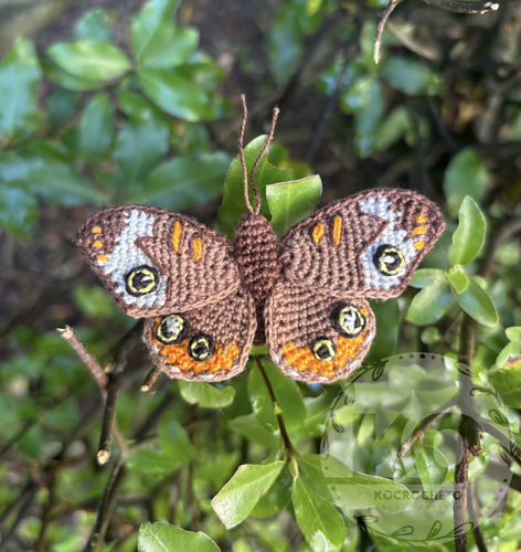 Buckeye Butterfly