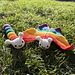 Roy and Biv outside together on the grass.