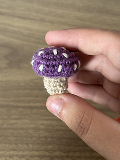 Toadstool of Twilight