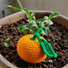 Optimal Orange photo 4