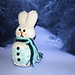 Snowbunny photo 3
