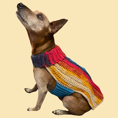 Cozy Companion Sweater photo 2