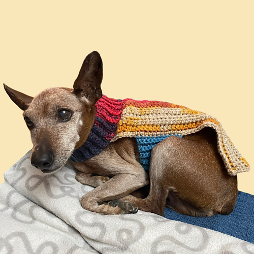 Cozy Companion Sweater photo 3