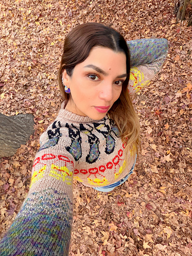 Sweater Castnia