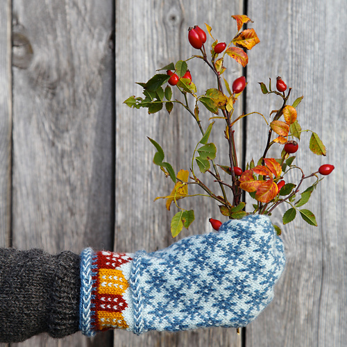 Trondheim-votter - Sofia Capelle