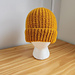 Washington Park Beanie Worsted pattern