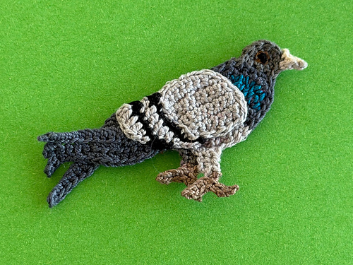 Pigeon