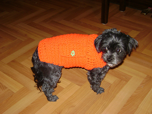 Dapper Doggie Sweater photo 2