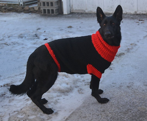 Dog sweater / Hunde-Pulli photo 4