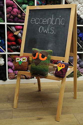 Eccentric Owls photo 1