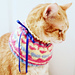 Kitty Cowl pattern 