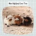 Mini Highland Cows pattern