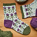 Scottish Thistle Socks pattern
