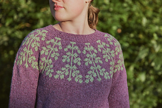 Ada is wearing a size 3 sweater