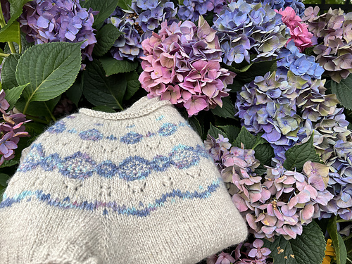 Petals and Lace - Erika Field