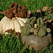Pumpkin baby booties pattern 