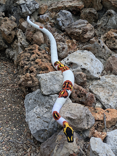 Large Piebald Snake