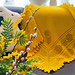tansy pattern