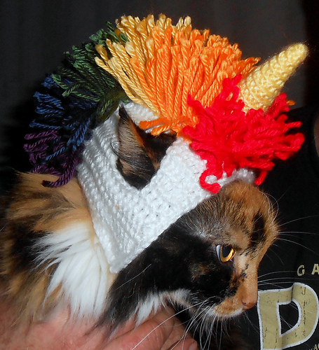 Pet Bonnet photo 2