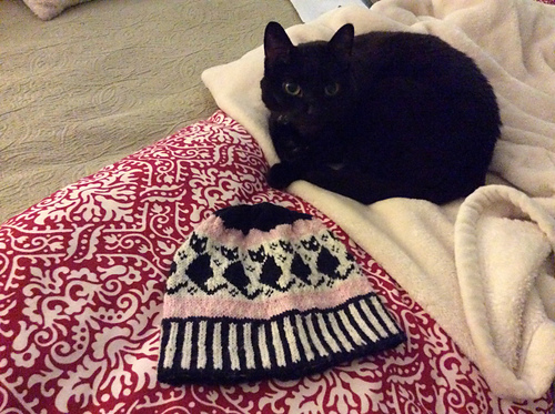 Black Cats Beanie photo 7