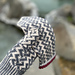 Karitas pattern 