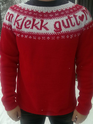 Kjekk gutt genser - russegenser - Torunn Kristin Tandberg