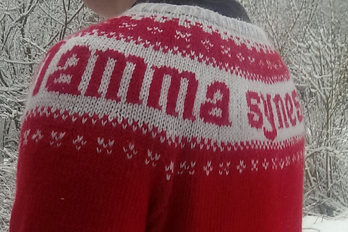 Kjekk gutt genser - russegenser - Torunn Kristin Tandberg