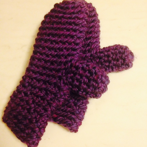 Polar Mittens photo 2