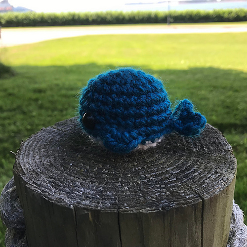 No-sew Whale photo 3