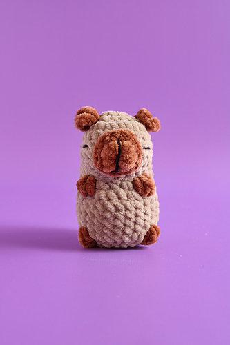 Customizable Capybara photo 12