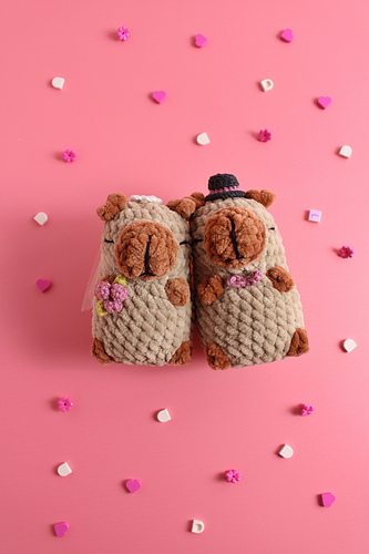 Customizable Capybara photo 10