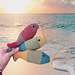 Dia de pesca pattern 
