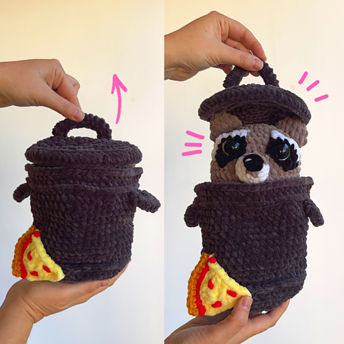 Pedro the Curious Raccoon