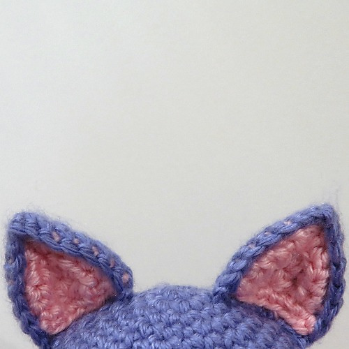 Star the kitty lovey photo 5