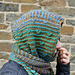 Into The Hoods Scarf (aka Scoodie) pattern 