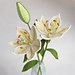 Crochet Lily pattern
