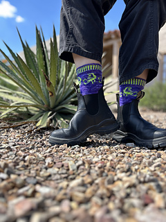 my CYB socks in the front yard of my desert house