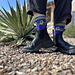 my CYB socks in the front yard of my desert house