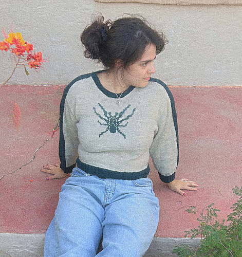 Spider sweater
