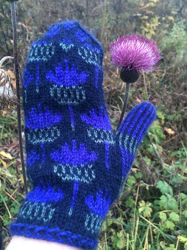 Vottene Hvitbladtistel / Melancholy Thistle - Lemik