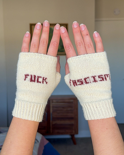 F*** Fascism Mitts