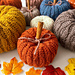 Autumn Spice Pumpkins pattern 