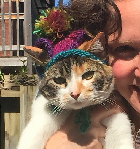 Kitty Bonnet photo 2