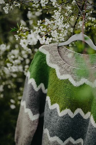 Goran - Harmonia Zdjęć